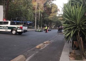Motociclista muere al chocar contra un árbol en la alcaldía Cuauhtémoc, CDMX