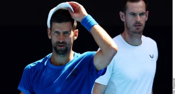Novak Djokovic Andy Murray