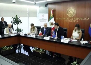 OEA elección judicial