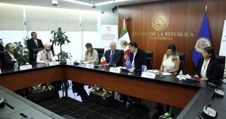 OEA elección judicial