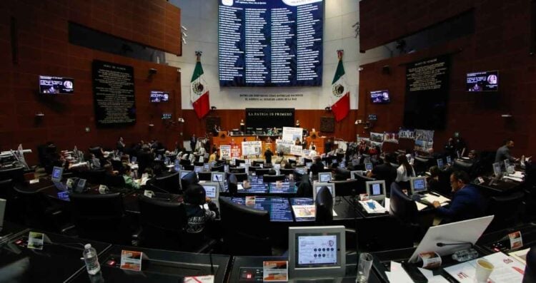 remesas opiniones divididas Senado