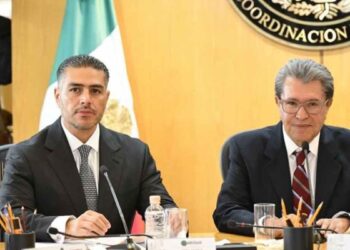 Harfuch elección judicial