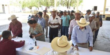 Semilla de calidad Tamaulipas 2025