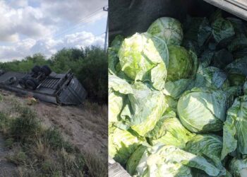 Vuelca tráiler cargado de repollo en la carretera San Fernando-Reynosa