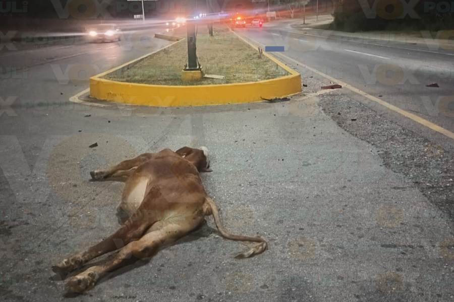 accidente en Altamira hoy