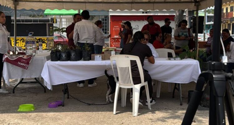 adopciones de perros y gatos en Tampico