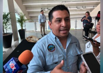 anidación de cocodrilos en Tampico