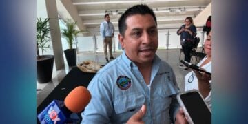 anidación de cocodrilos en Tampico