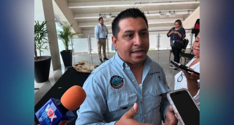 anidación de cocodrilos en Tampico