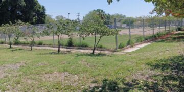 apagones en Ciudad Victoria