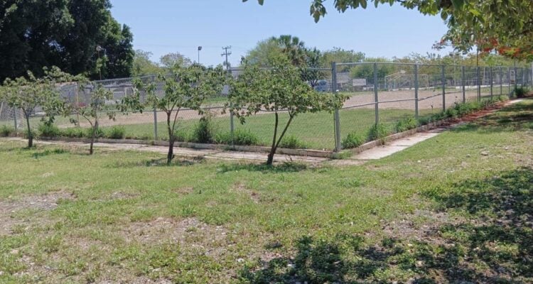 apagones en Ciudad Victoria