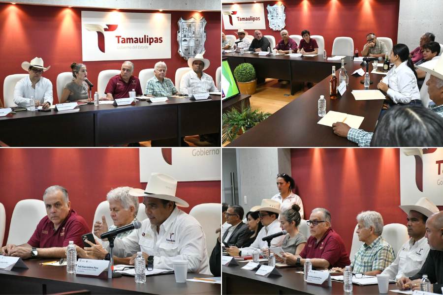 apoyo a emprendedores rurales en Tamaulipas