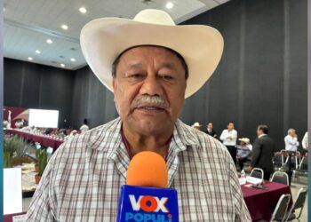 caída del precio del sorgo en Tamaulipas