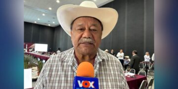 caída del precio del sorgo en Tamaulipas