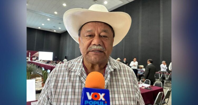 caída del precio del sorgo en Tamaulipas