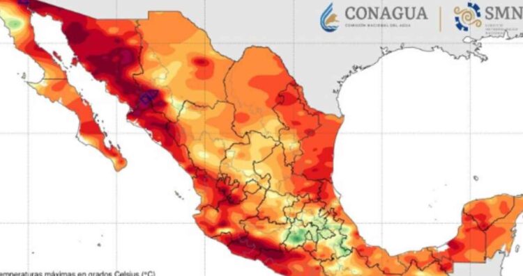 _calor extremo Nuevo León