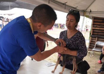 consultas médicas gratuitas Nuevo Laredo