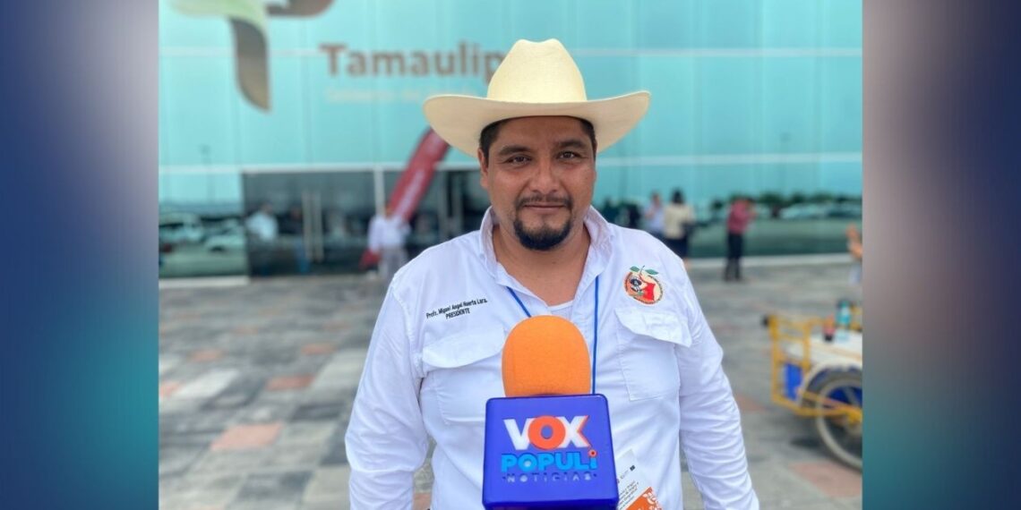 crisis citrícola en Tamaulipas