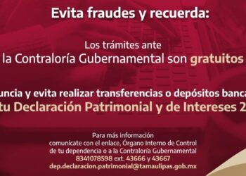 declaración patrimonial Tamaulipas 2025