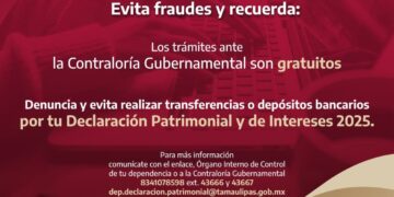 declaración patrimonial Tamaulipas 2025