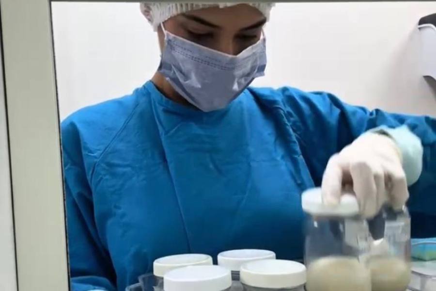Día Mundial de la Donación de Leche Humana