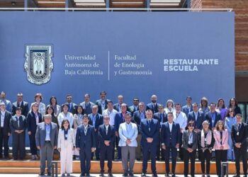 educación superior pública en México
