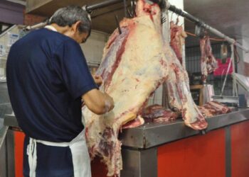 importación de ganado mexicano