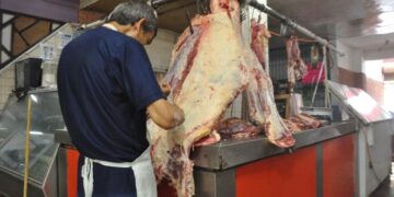 importación de ganado mexicano