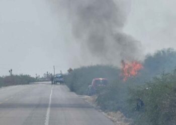 _incendio forestal Tula San Luis