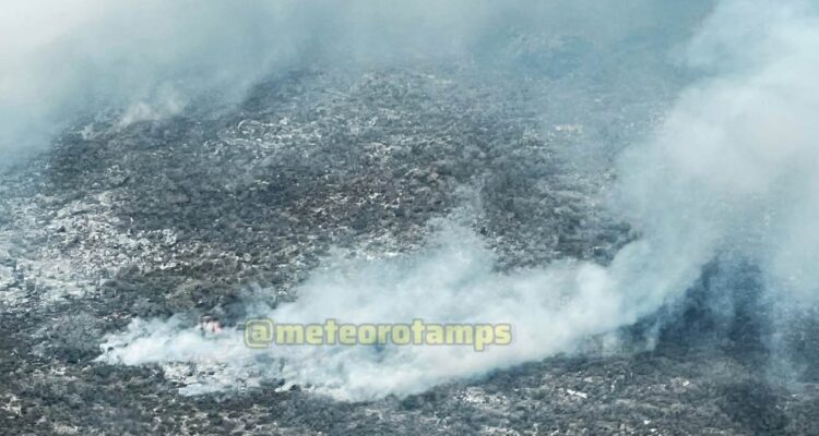 incendios forestales Tamaulipas por calor