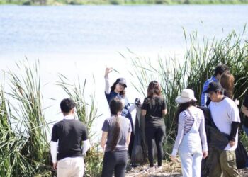 limpieza de El Laguito en Nuevo Laredo