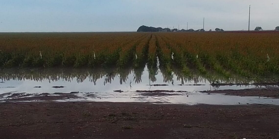 lluvias en San Fernando