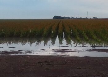 lluvias en San Fernando
