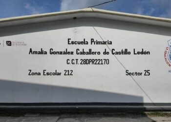 maestra titular primaria Matamoros