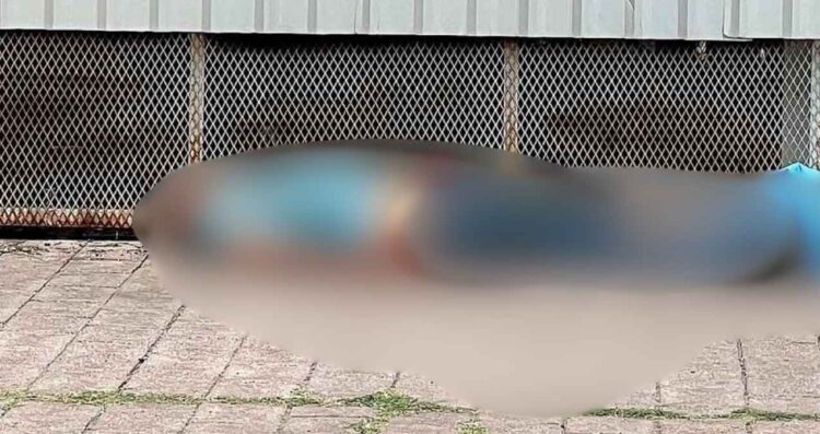 _muere golpe calor Laredo