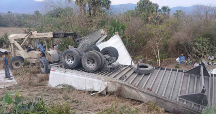 muere recoger azúcar Mante