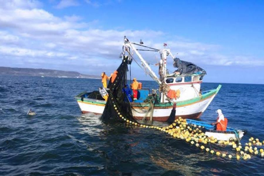 pesca ilegal Tamaulipas