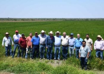producción agrícola El Mante