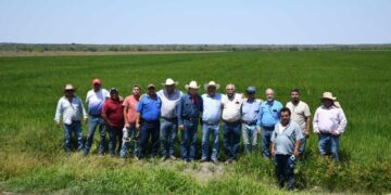 producción agrícola El Mante