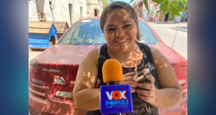 protección de animales en ola de calor