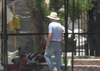 recomendaciones por ola de calor