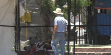 recomendaciones por ola de calor