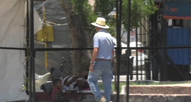 recomendaciones por ola de calor