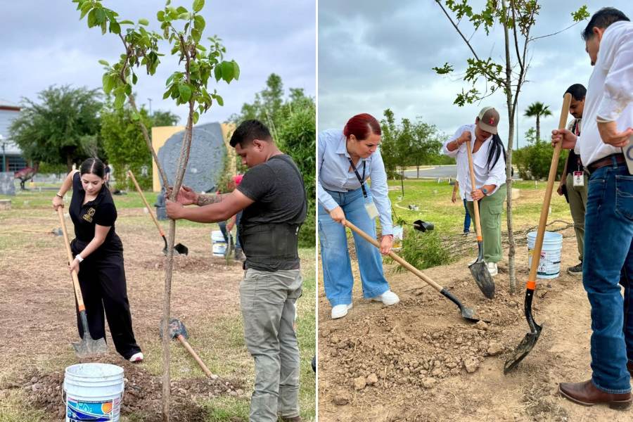 reforestación del Centro Cultural de Nuevo Laredo