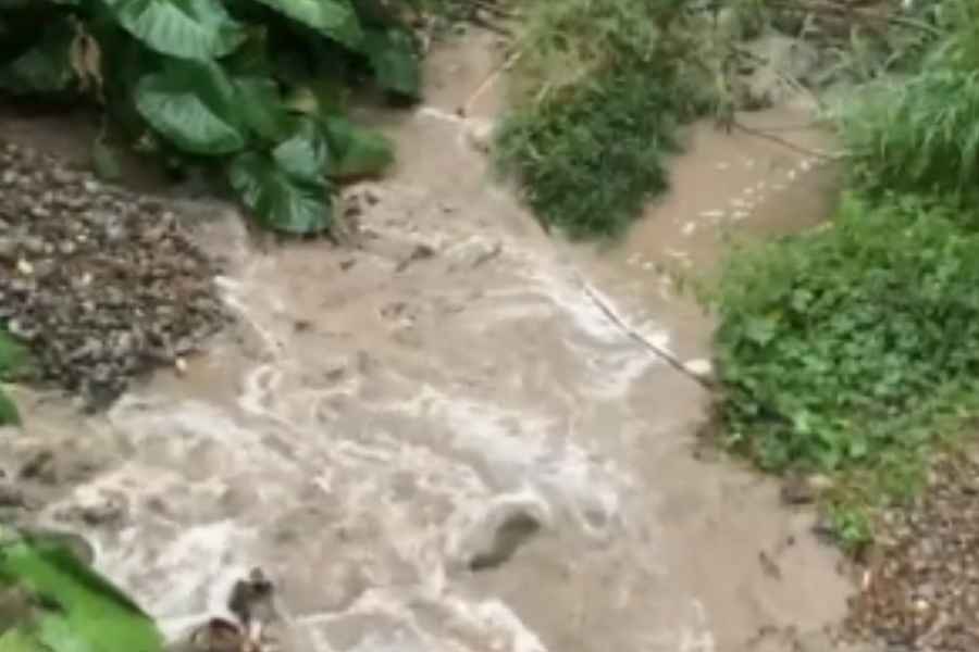 río San Marcos Victoria (1)