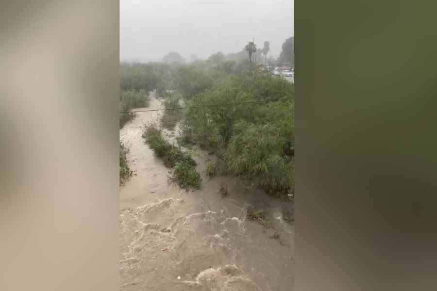 río San Marcos Victoria (3)