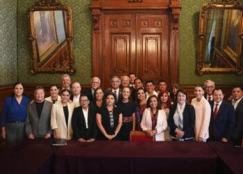 sistema de salud en México