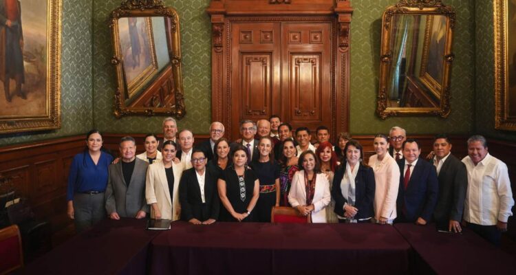 sistema de salud en México