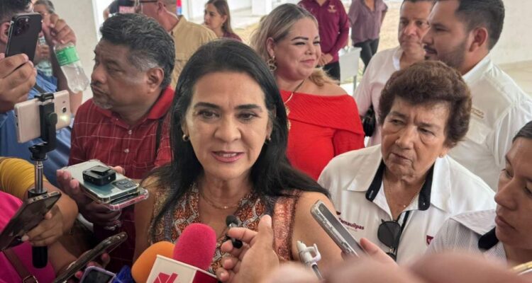 Pronto podrás cruzar el Pánuco por el aire: así será el Teleférico Huasteco en Tampico, Tamaulipas