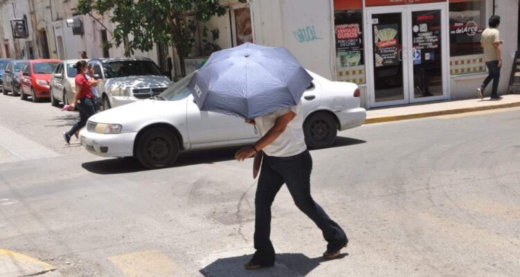 temperatura máxima en Tamaulipas